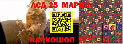 сатива Бердск