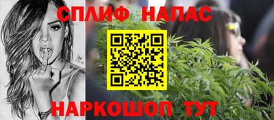 сатива Бердск