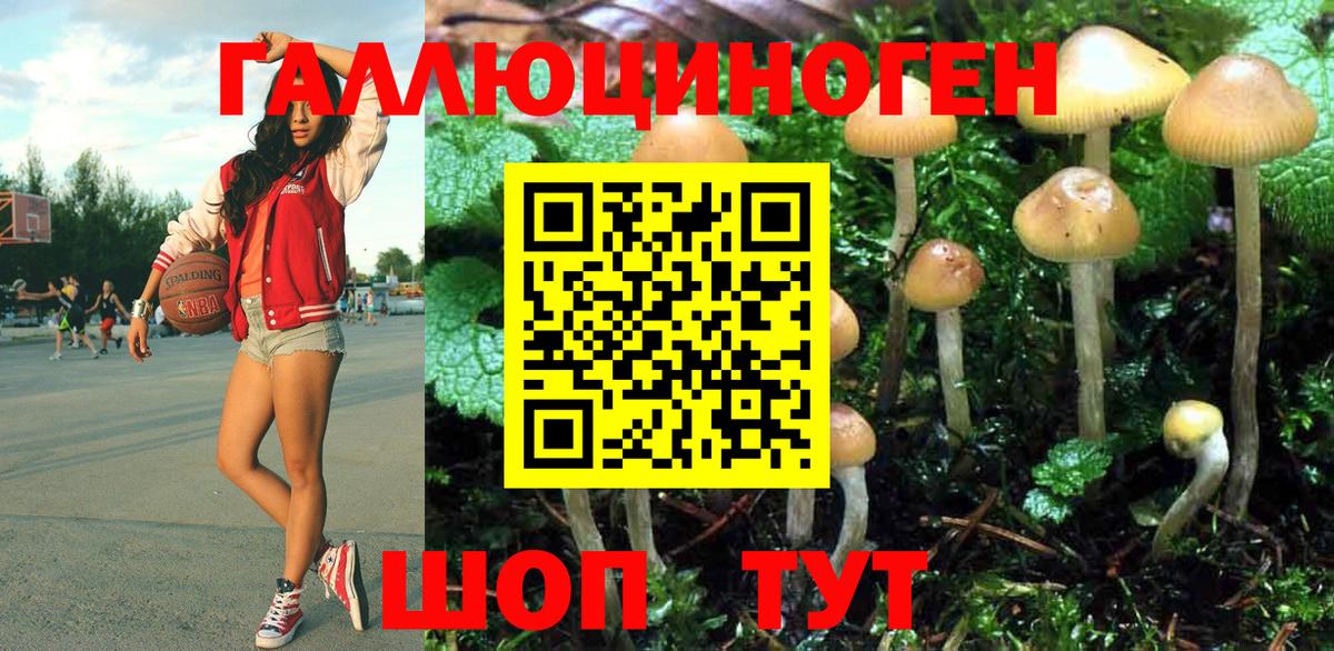 Воркута  Псилоцибиновые грибы ЛСД  Вход с VPN 